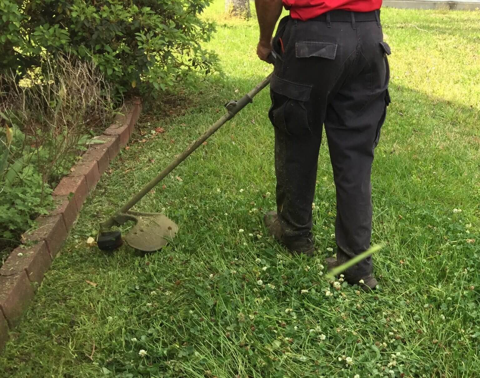 Weed Eating